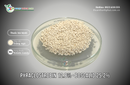 Fungicide PYRACLOSTROBIN 12.8% + BOSCALID 25.2% - ASTRA BOSS 38WG