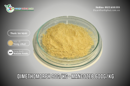 Fungicide DIMETHOMORPH 90G/KG + MANCOZEB 600G/KG - SPENDORA 690WP