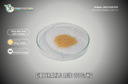 Plant growth regulator GIBBERALILC ACID 200G/KG - MEGAFARM 200WP