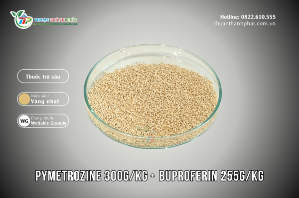 Insecticide PYMETROZINE 300G/KG + BUPROFEIN 255G/KG - ZHEDS 555WG