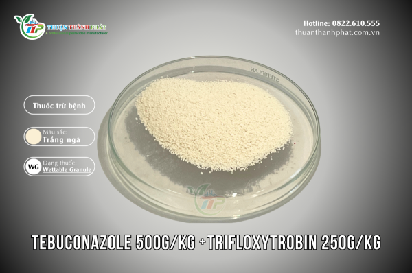 Fungicide TEBUCONAZOLE 500G/KG + TRIFLOXYTROBIN 250G/KG - SUBWAY 750WP