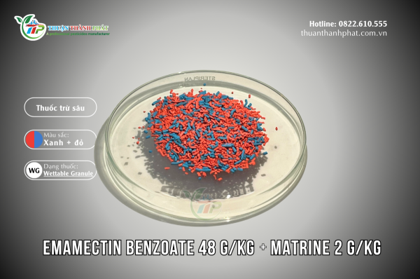 Insecticide EMAMECTIN BENZOATE 48G/KG + MATRINE 2G/KG - RHOLAM SUPER 50SG